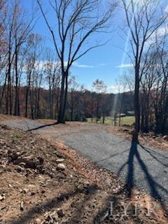 0 Pilot Mountain Road Moneta, VA 24121 - Photo 11 of 15 Gallery Image 11