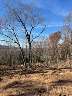 0 Pilot Mountain Road Moneta, VA 24121 - Photo 12 of 15 Gallery Image 12