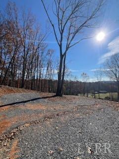 0 Pilot Mountain Road Moneta, VA 24121 - Photo 13 of 15 Gallery Image 13