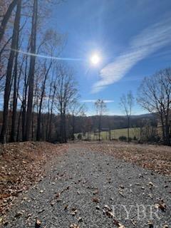 0 Pilot Mountain Road Moneta, VA 24121 - Photo 14 of 15 Gallery Image 14