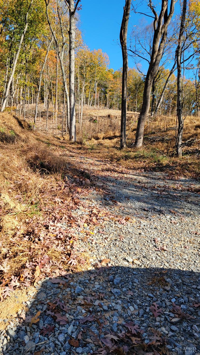 0 Pilot Mountain Road Moneta, VA 24121 - Photo 2 of 15 Gallery Image 2