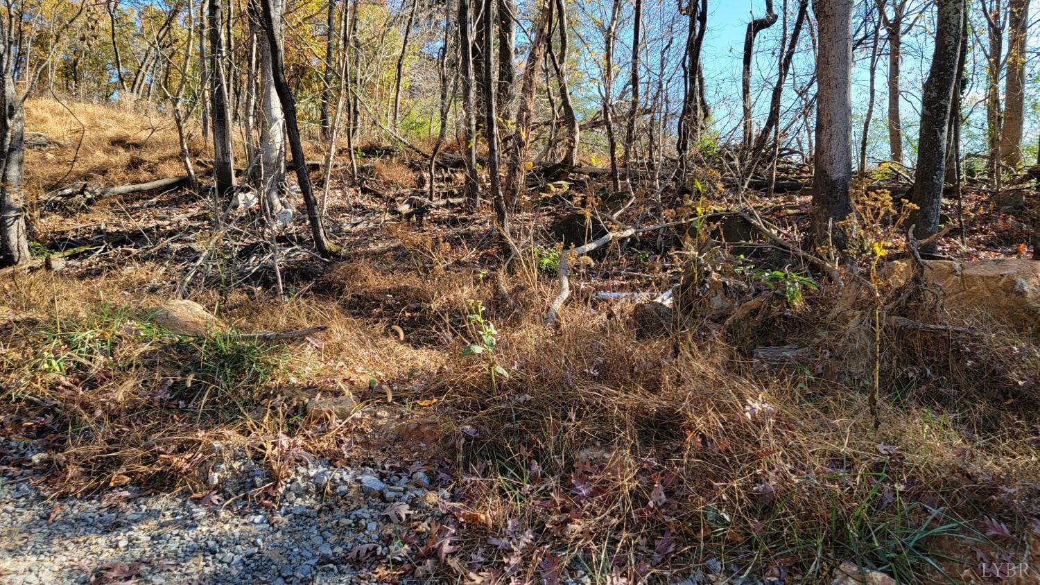 0 Pilot Mountain Road Moneta, VA 24121 - Photo 3 of 15 Gallery Image 3