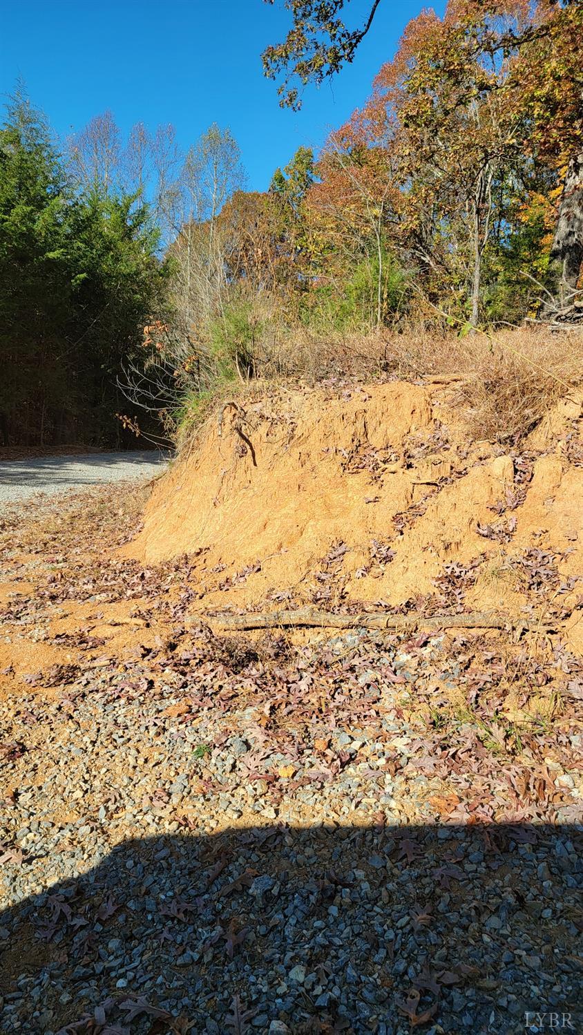 0 Pilot Mountain Road Moneta, VA 24121 - Photo 4 of 15 Gallery Image 4