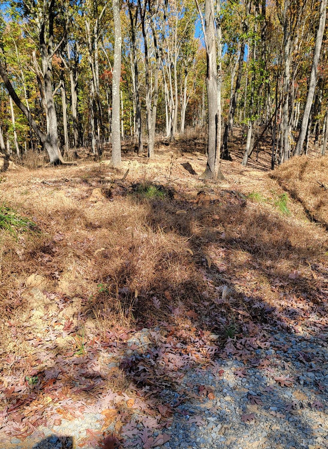 0 Pilot Mountain Road Moneta, VA 24121 - Photo 8 of 15 Gallery Image 8