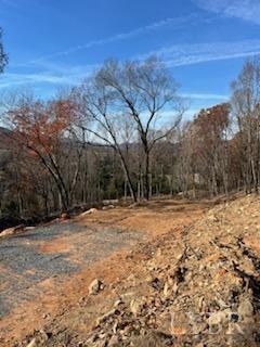 0 Pilot Mountain Road Moneta, VA 24121 - Photo 10 of 15 Gallery Image 10