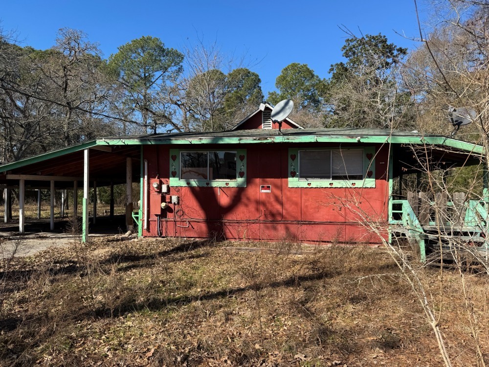 24532 Tyrone Street Hempstead, TX 77445 - Photo 4 of 11