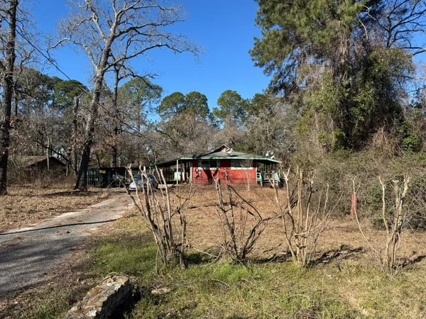 a view of a yard with a tree