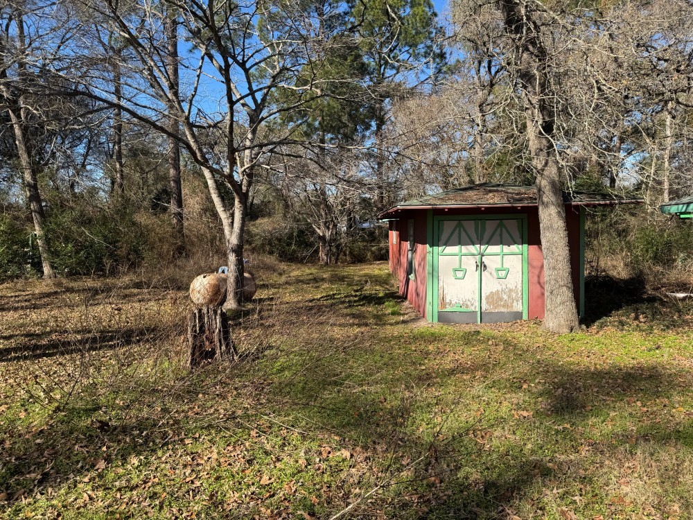 24532 Tyrone Street Hempstead, TX 77445 - Photo 9 of 11 a view of a yard with a tree