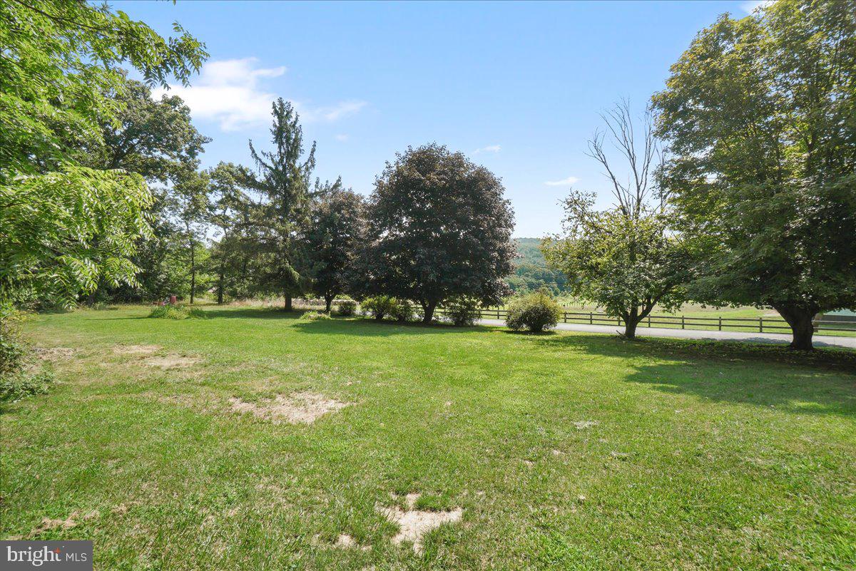 14008 Brown Road Smithsburg, MD 21783 - Photo 24 of 30 Yard