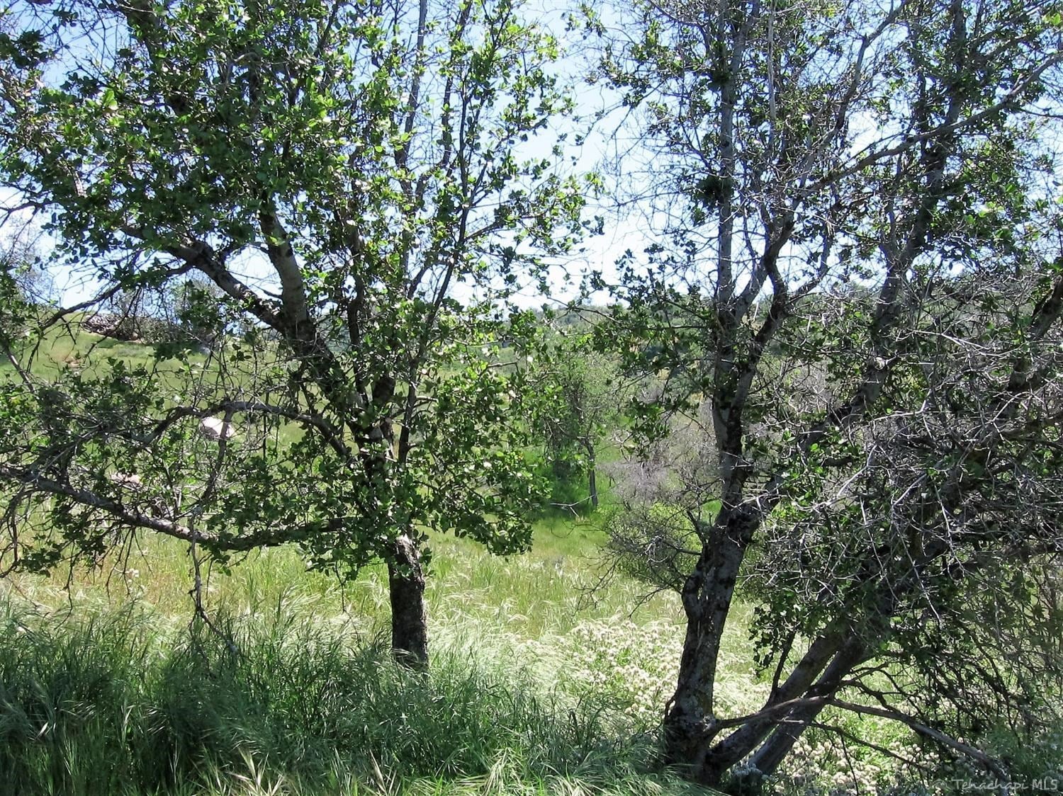 30650 Condor Place Tehachapi, CA 93561 - Photo 10 of 14 Gallery Image 10