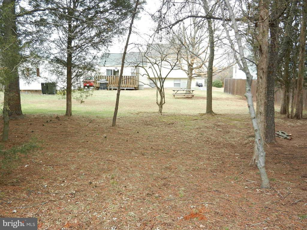 10337 Abbott Road Manassas, VA 20110 - Photo 3 of 30 Large back yard with plenty of shade trees.