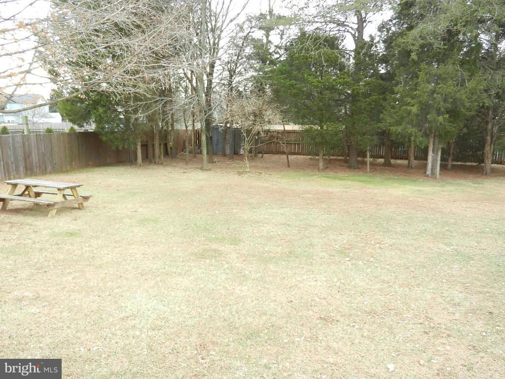 10337 Abbott Road Manassas, VA 20110 - Photo 5 of 30 Back yard.