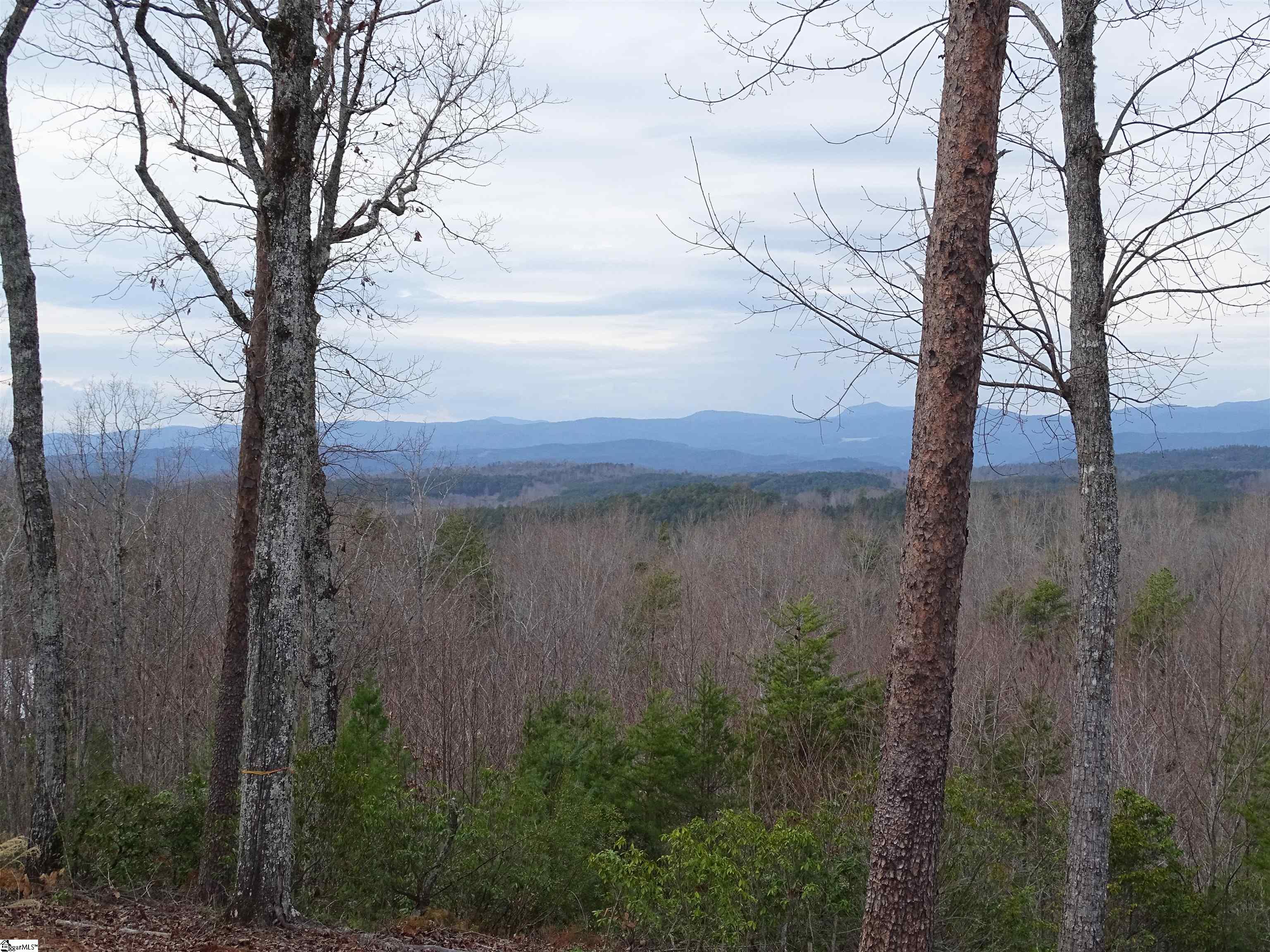 216 Gabriel Way Pickens, SC 29671 - Photo 13 of 27 view from Lodge