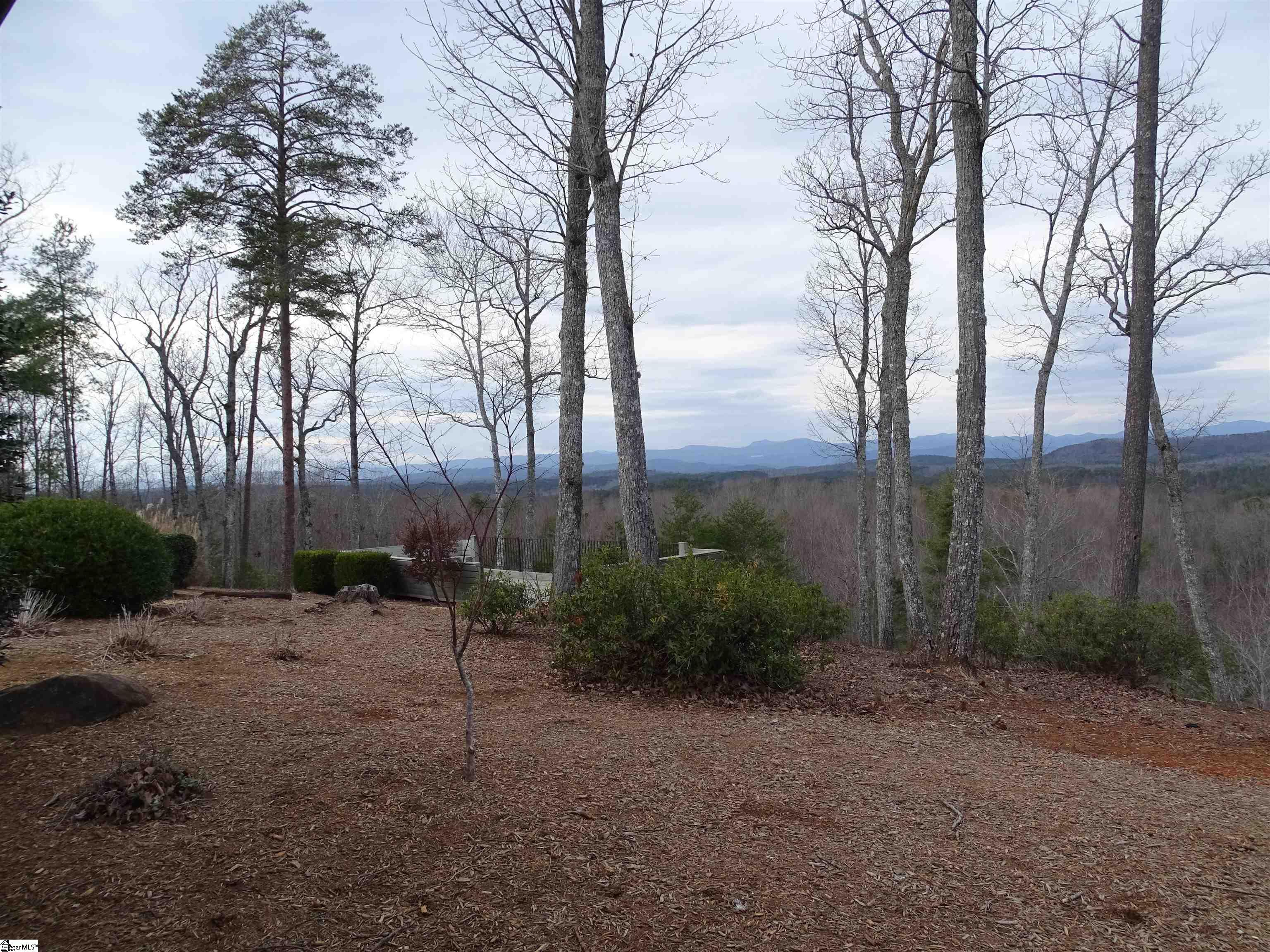 216 Gabriel Way Pickens, SC 29671 - Photo 26 of 27 view from Lodge