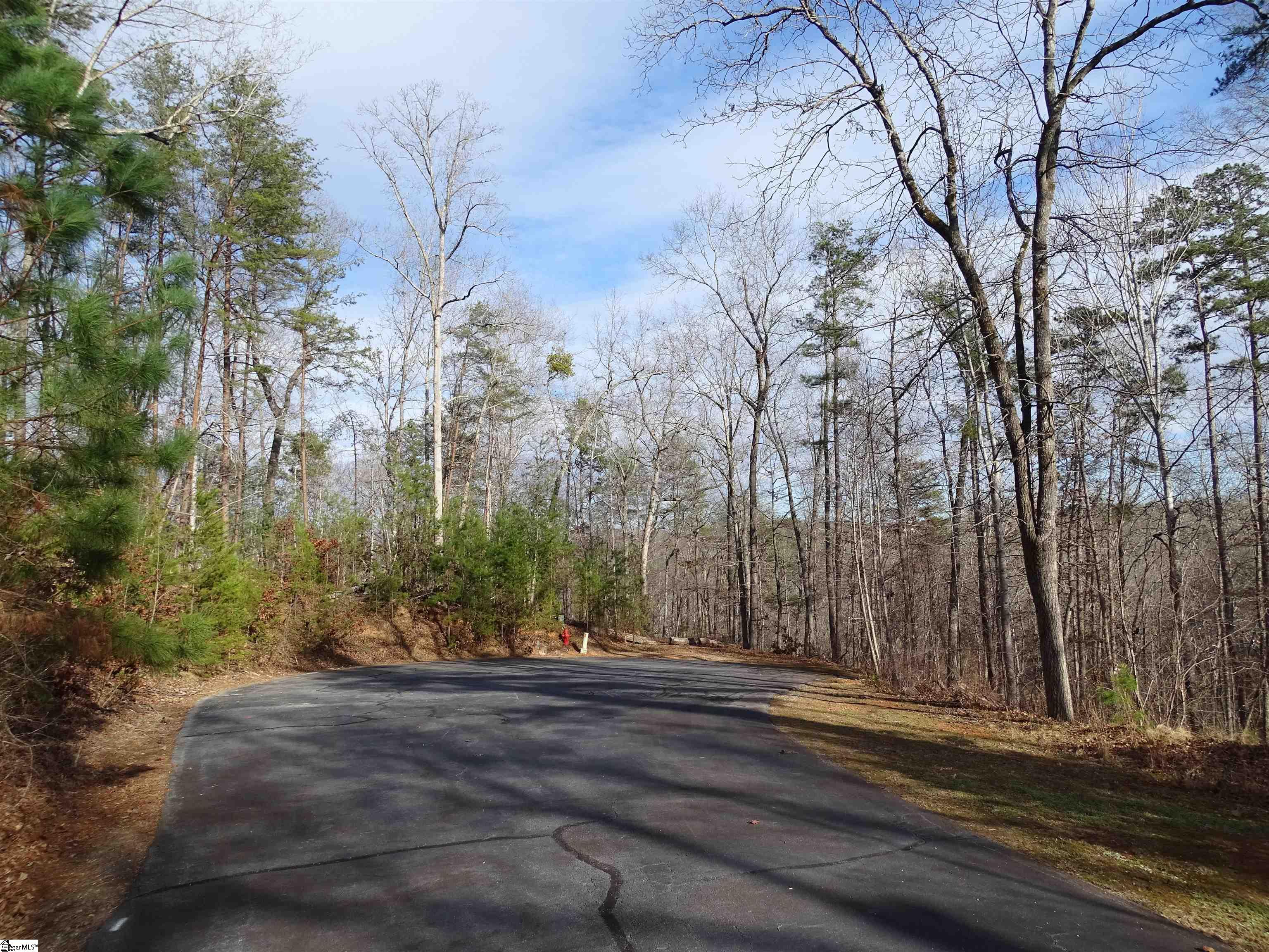 216 Gabriel Way Pickens, SC 29671 - Photo 3 of 26