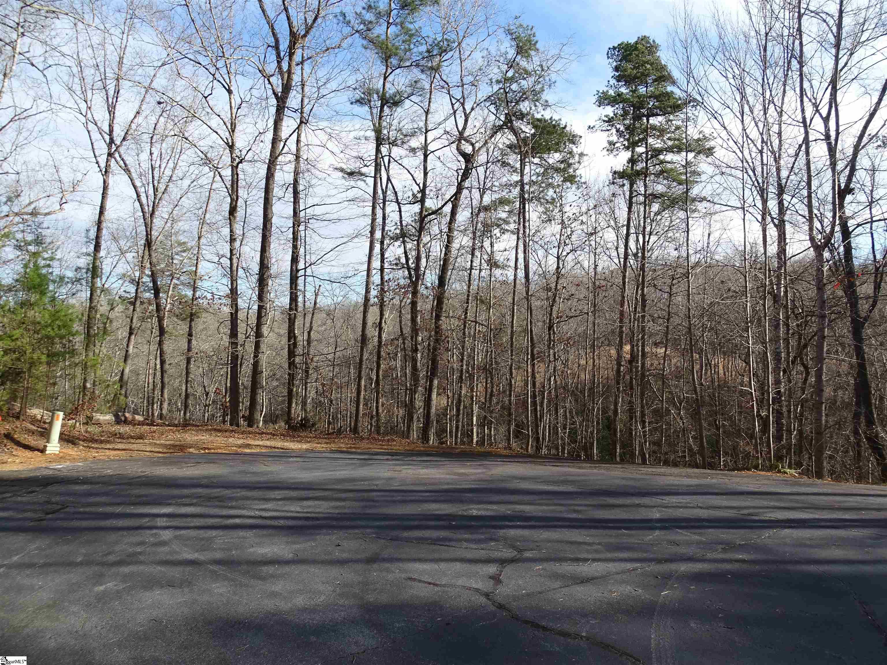 216 Gabriel Way Pickens, SC 29671 - Photo 4 of 26