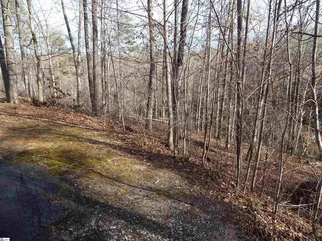 $27,000 | 216 Gabriel Way, Pickens, SC 29671