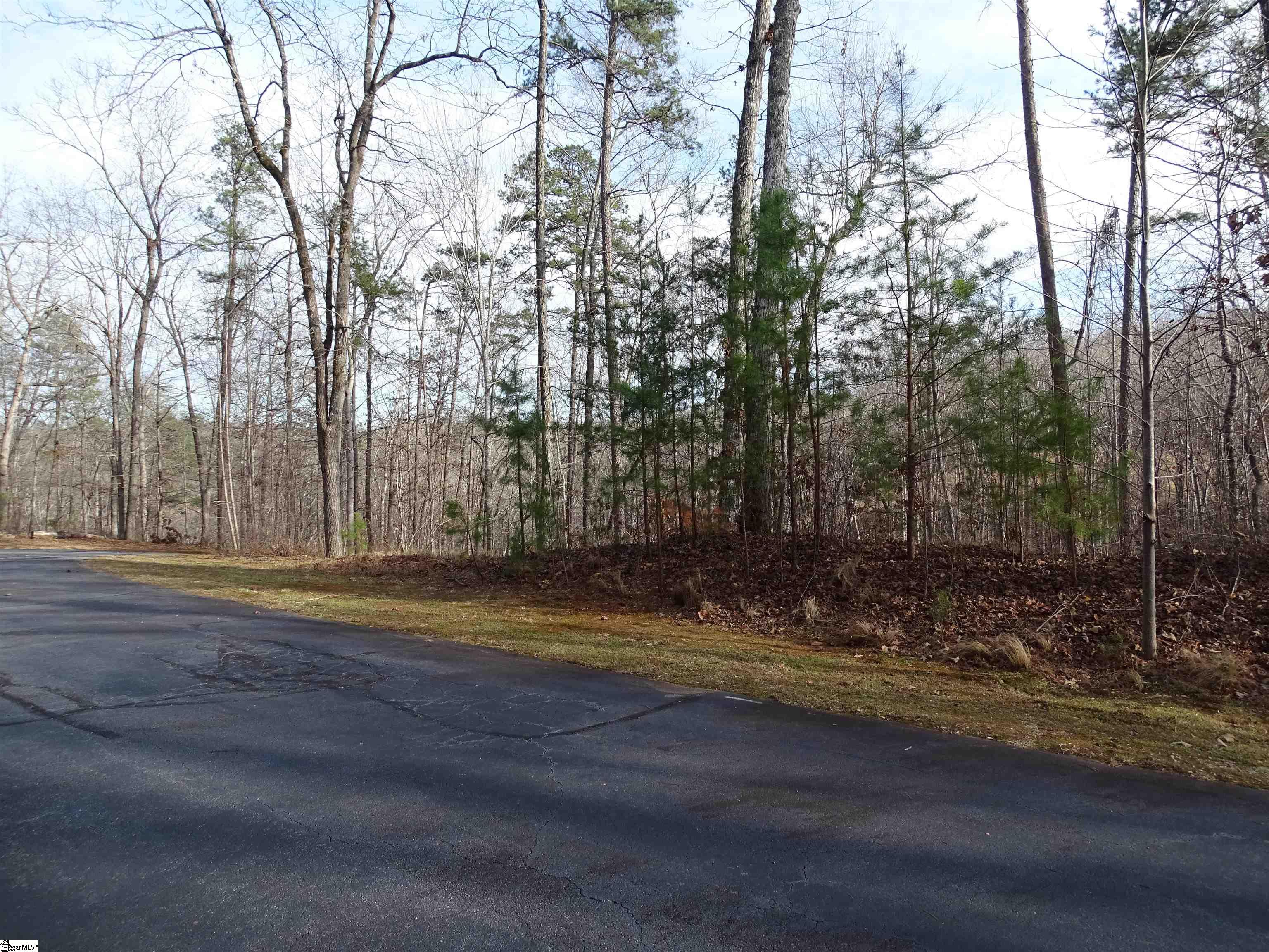 216 Gabriel Way Pickens, SC 29671 - Photo 8 of 27