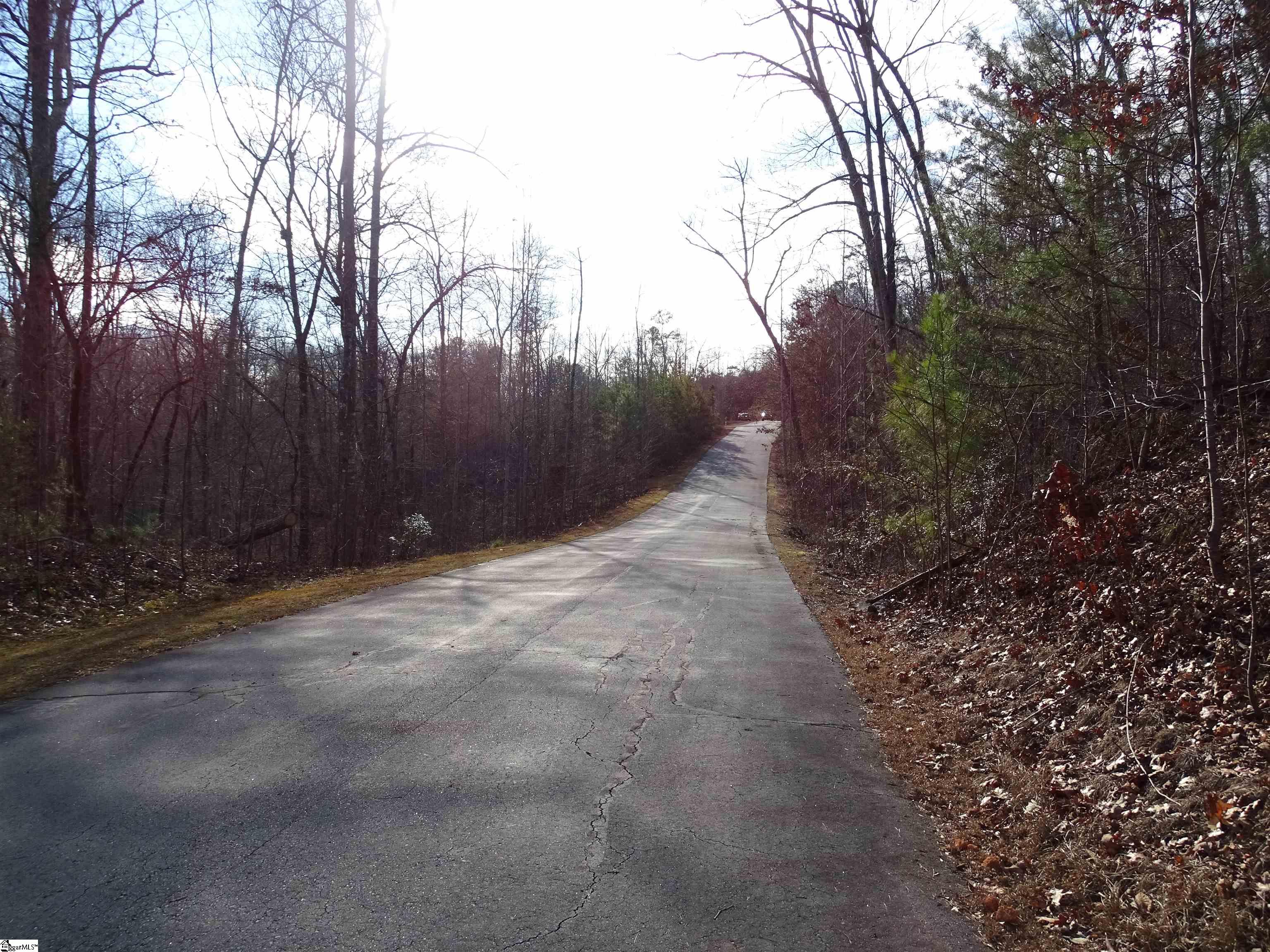 216 Gabriel Way Pickens, SC 29671 - Photo 9 of 27