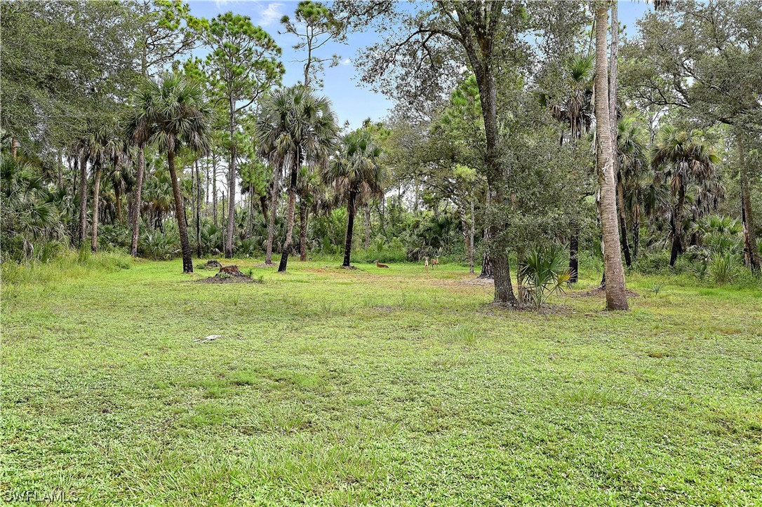 3535 18th Avenue Southeast Naples, FL 34117 - Photo 31 of 32 a big yard with lots of green space and trees