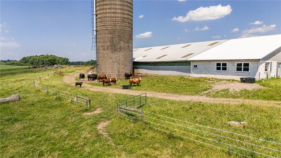 4599 Papermill Road Avon, NY 14414 - Photo 47 of 49