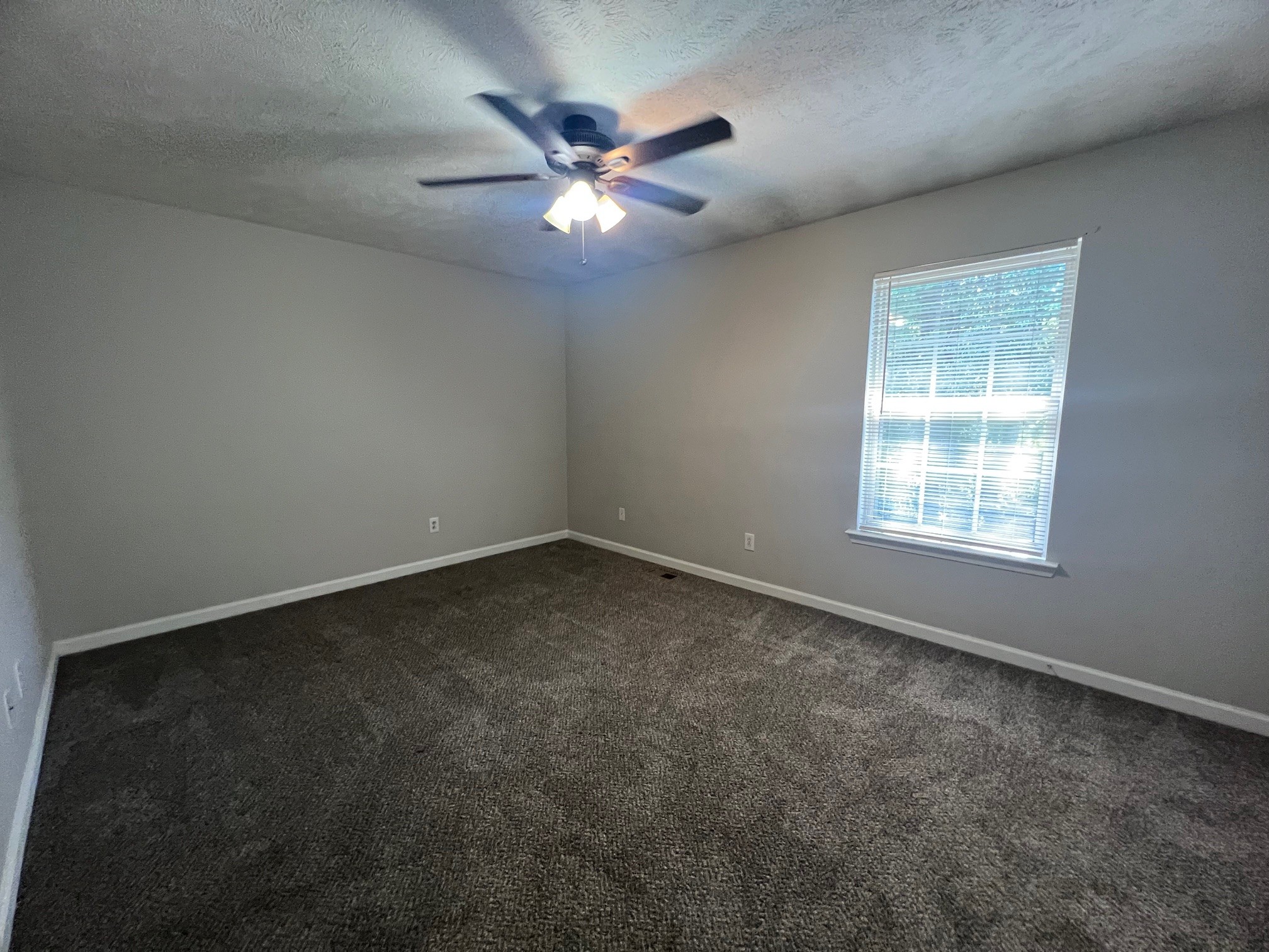 1512 Center Pointe Drive Murfreesboro, TN 37130 - Photo 11 of 18 an empty room with windows and fan