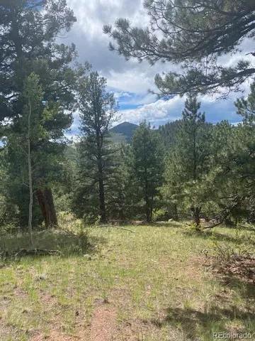 a view of outdoor space and yard