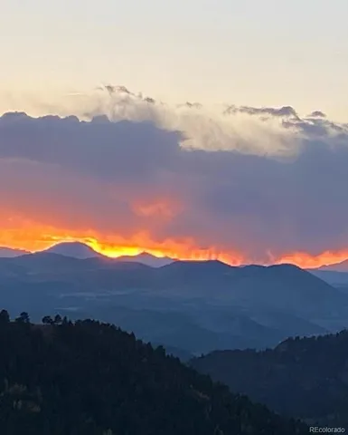 a view of swimming pool in a yard