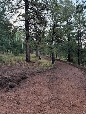 $79,000 | 216-252 Troy Drive, Cripple Creek, CO 80813