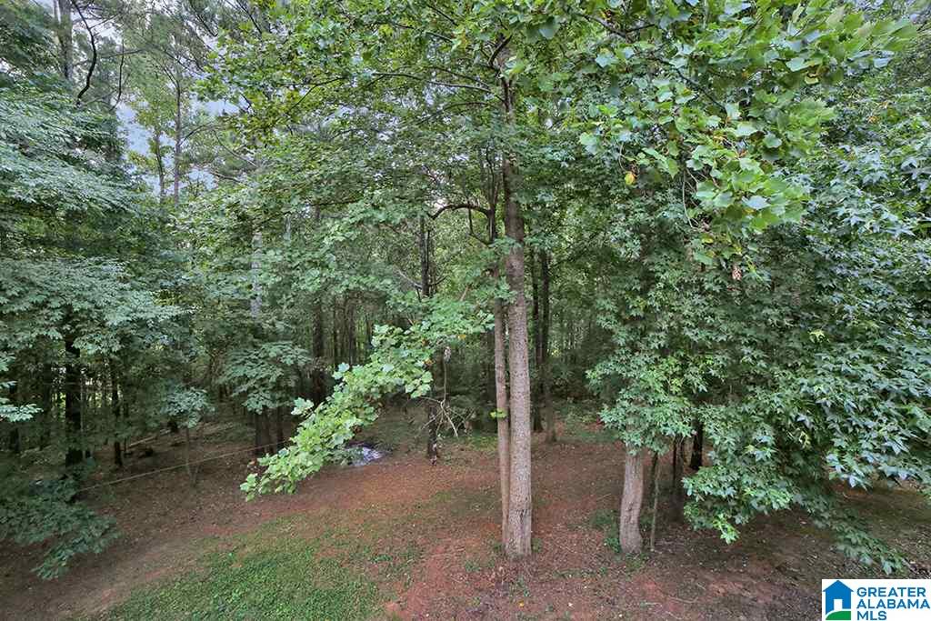 10 Elizabeth Lane Springville, AL 35146 - Photo 23 of 24