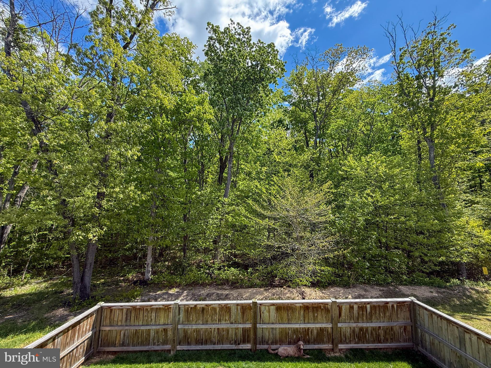 35 Juniper Circle Elkton, MD 21921 - Photo 18 of 44
