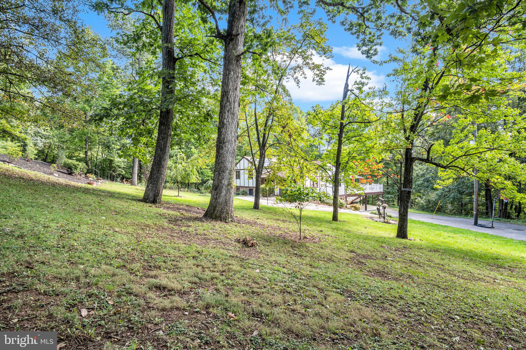 2251 Longs Gap Road Carlisle, PA 17013 - Photo 49 of 75 Gallery Image 49
