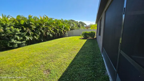 a view of a yard