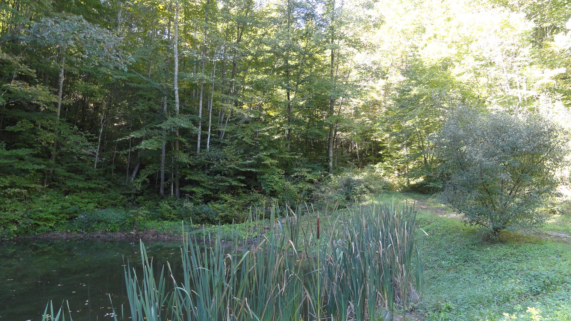 112 Carter Brock Road Barbourville, KY 40906 - Photo 3 of 25 DSC00973