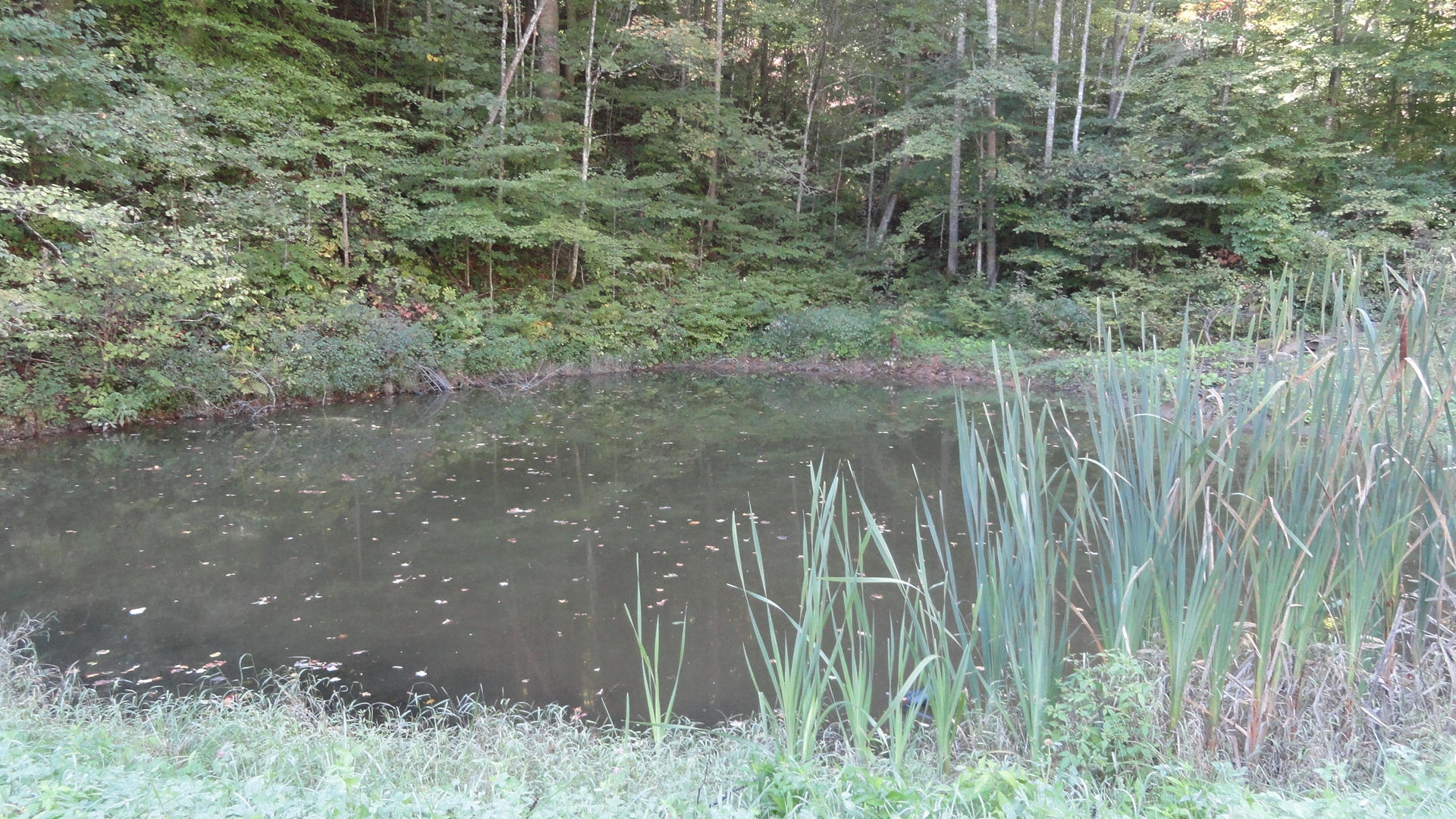 112 Carter Brock Road Barbourville, KY 40906 - Photo 6 of 25 DSC00971