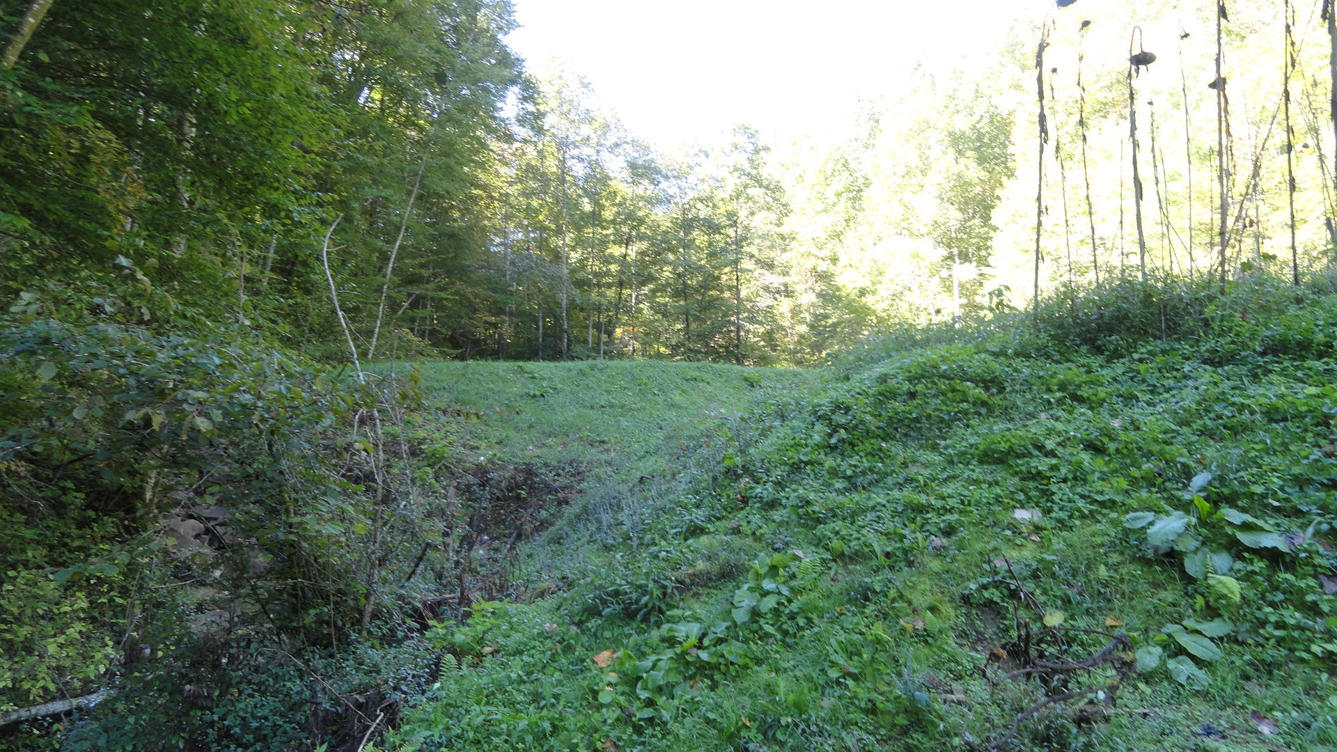 112 Carter Brock Road Barbourville, KY 40906 - Photo 8 of 25 DSC00969