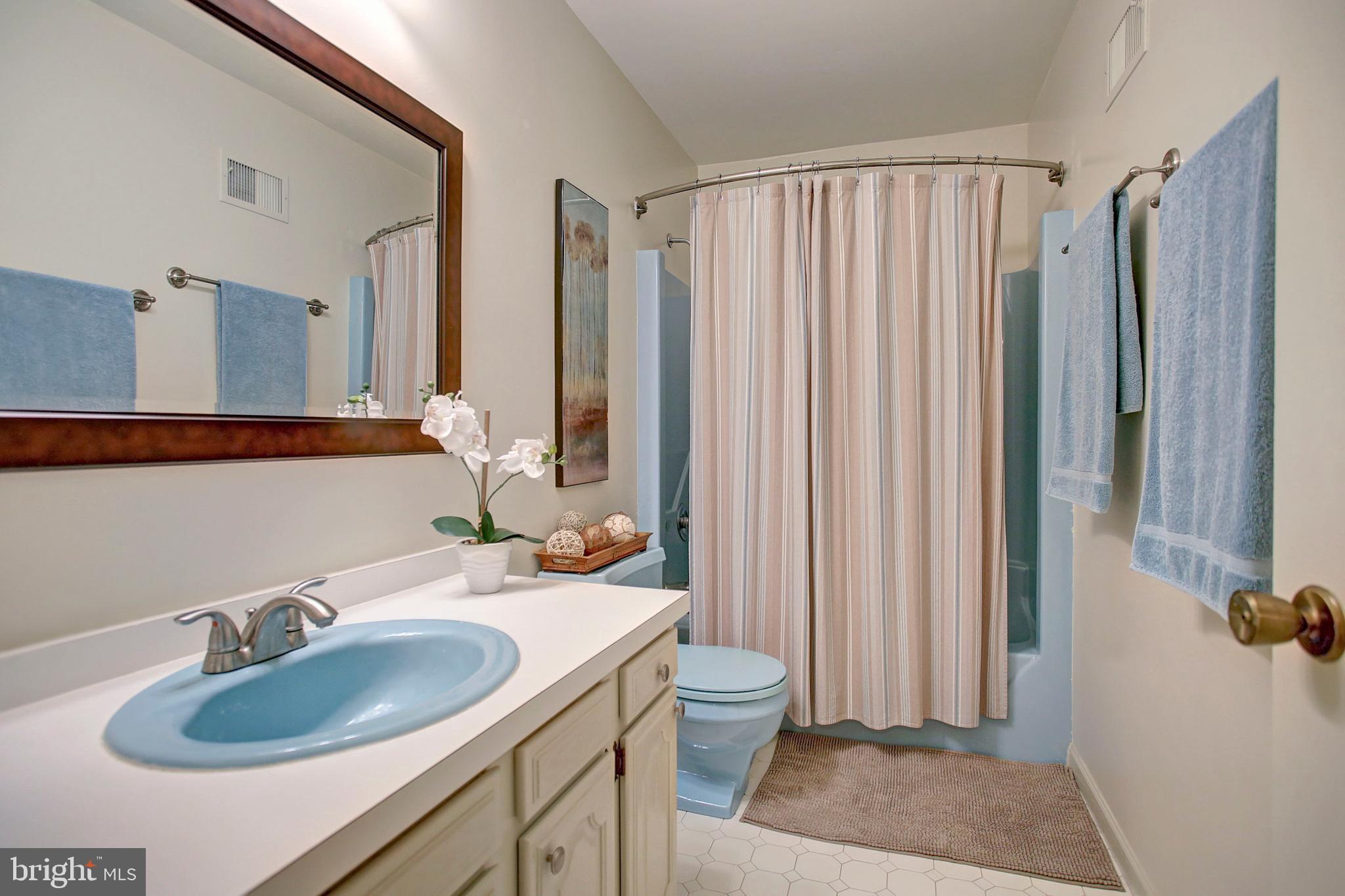 671 Shannon Road Boiling Springs, PA 17007 - Photo 42 of 52 Main Bathroom