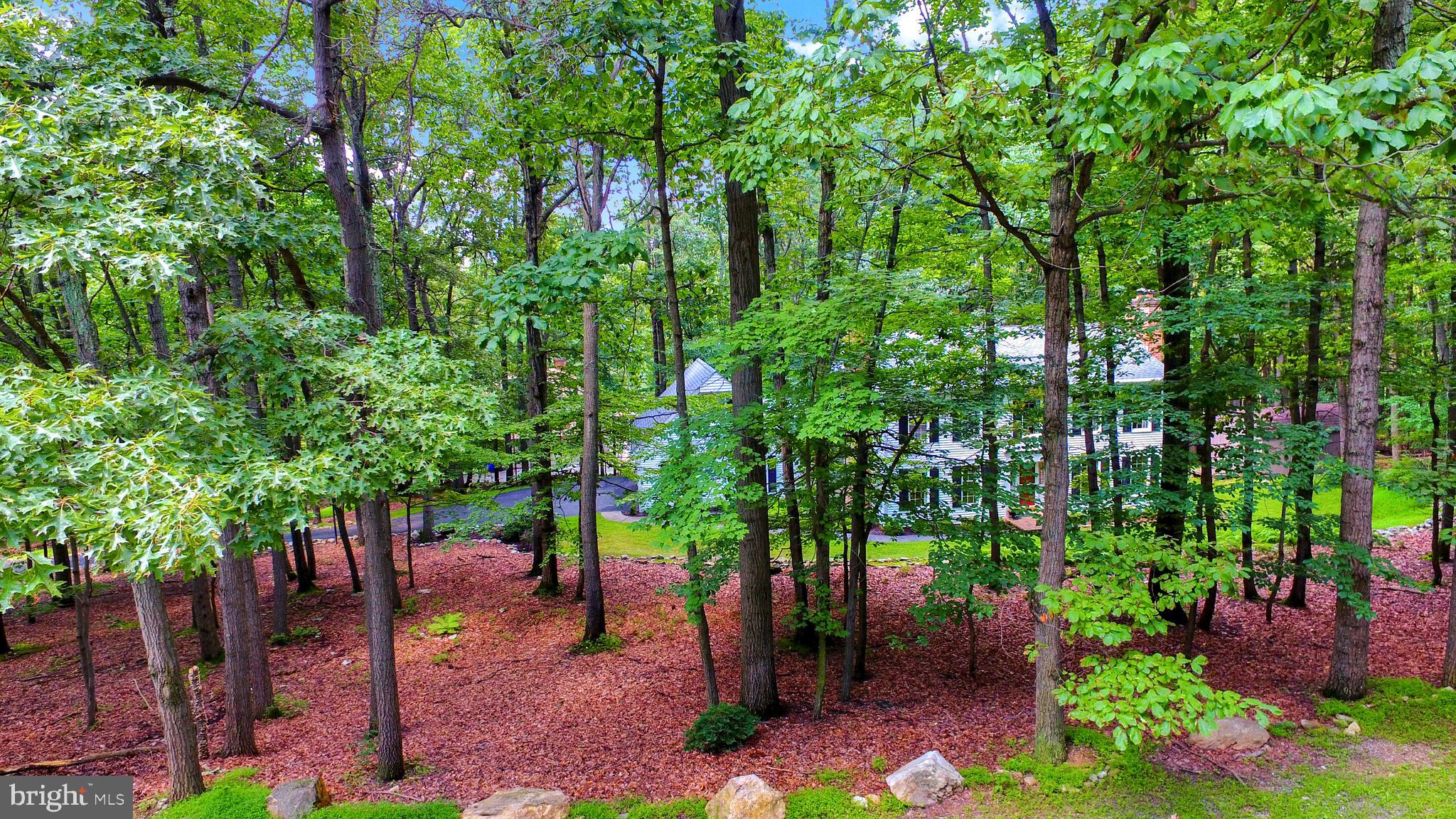 671 Shannon Road Boiling Springs, PA 17007 - Photo 49 of 52 Gallery Image 49