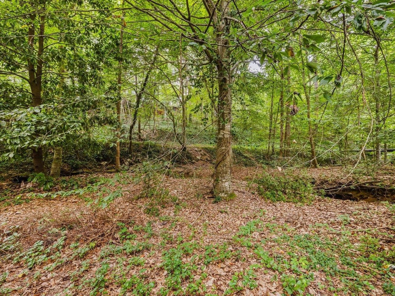 4725 Oak Park Road Raleigh, NC 27612 - Photo 64 of 75 Photo 64