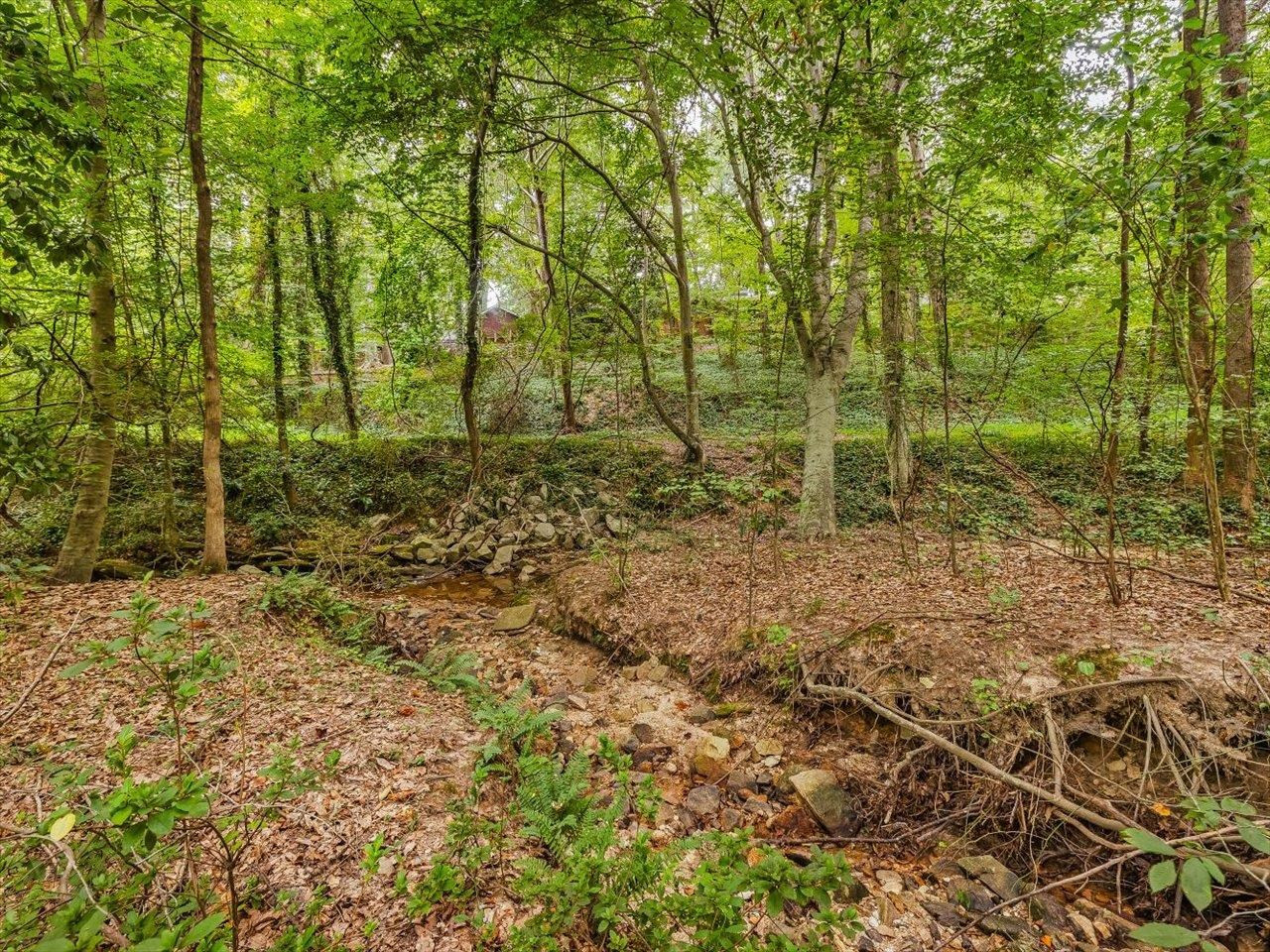 4725 Oak Park Road Raleigh, NC 27612 - Photo 65 of 75 a view of a yard with lots of trees