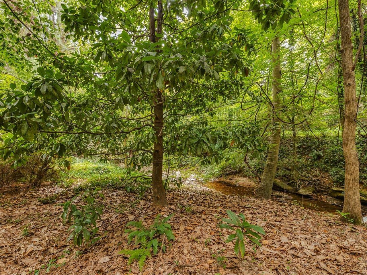 4725 Oak Park Road Raleigh, NC 27612 - Photo 67 of 75 a view of a yard with plants and tree