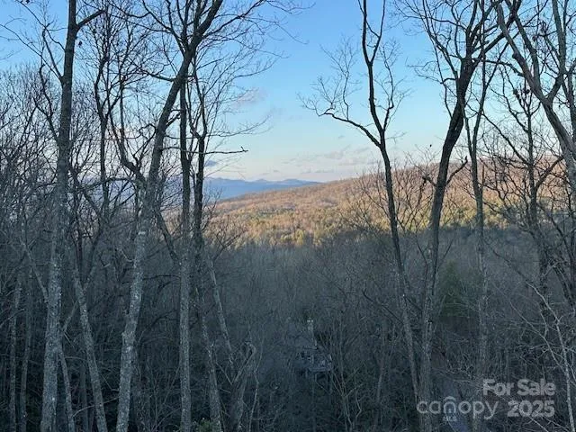 $947,500 | 371 East Falls View Drive, Pisgah Forest, NC 28768