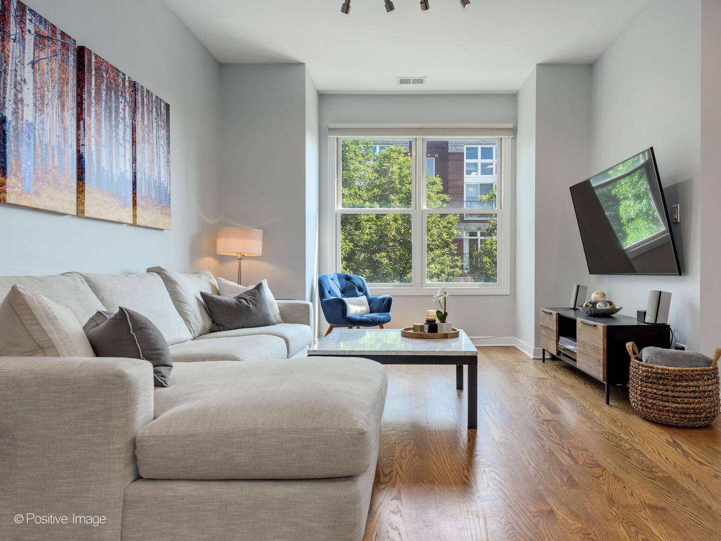 2128 West Rice Street, Unit 3 Chicago, IL 60622 - Photo 5 of 23 a living room with furniture wooden floor and a flat screen tv