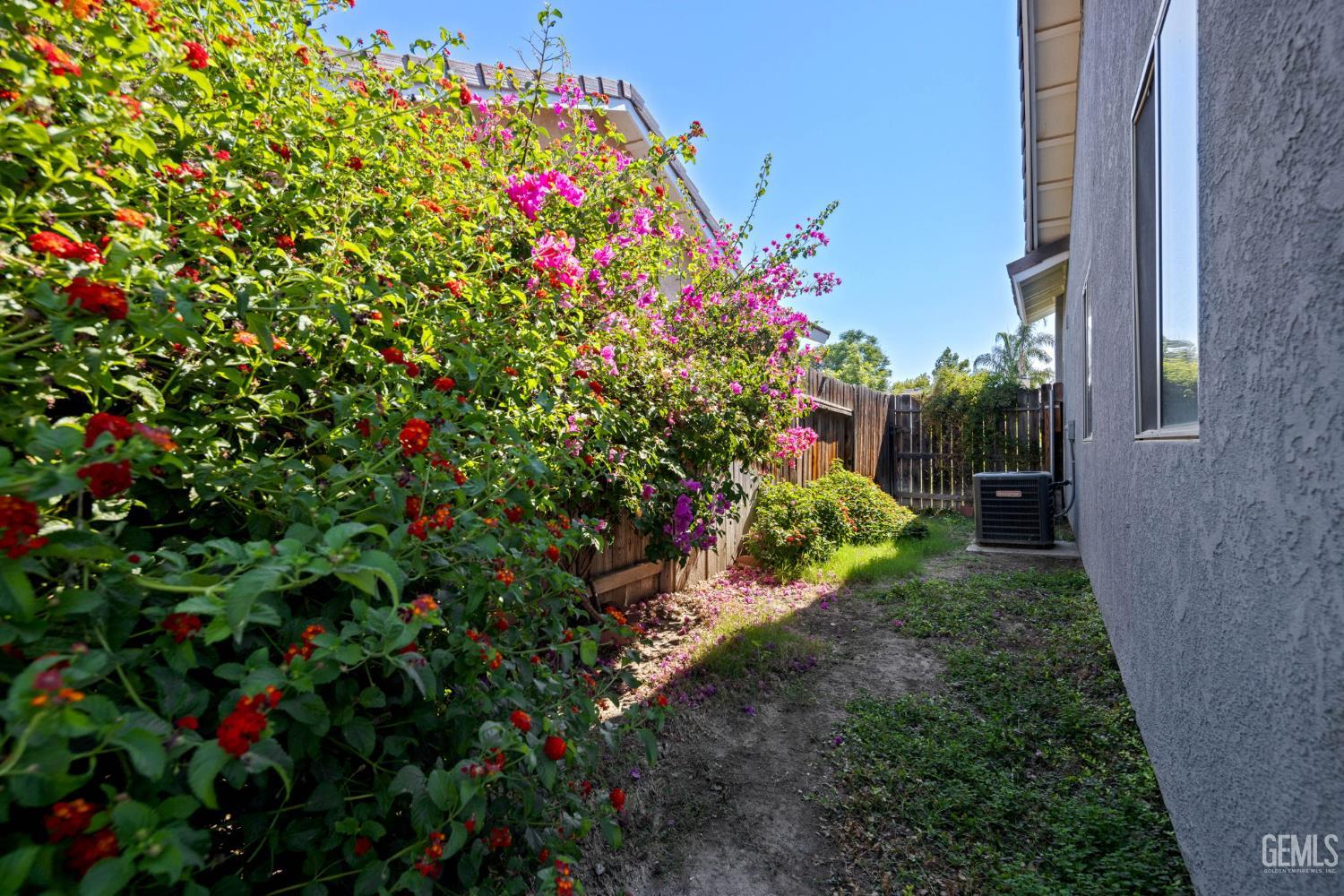 Undisclosed Address Bakersfield, CA 93312 - Photo 40 of 40 a view of a flower in a garden