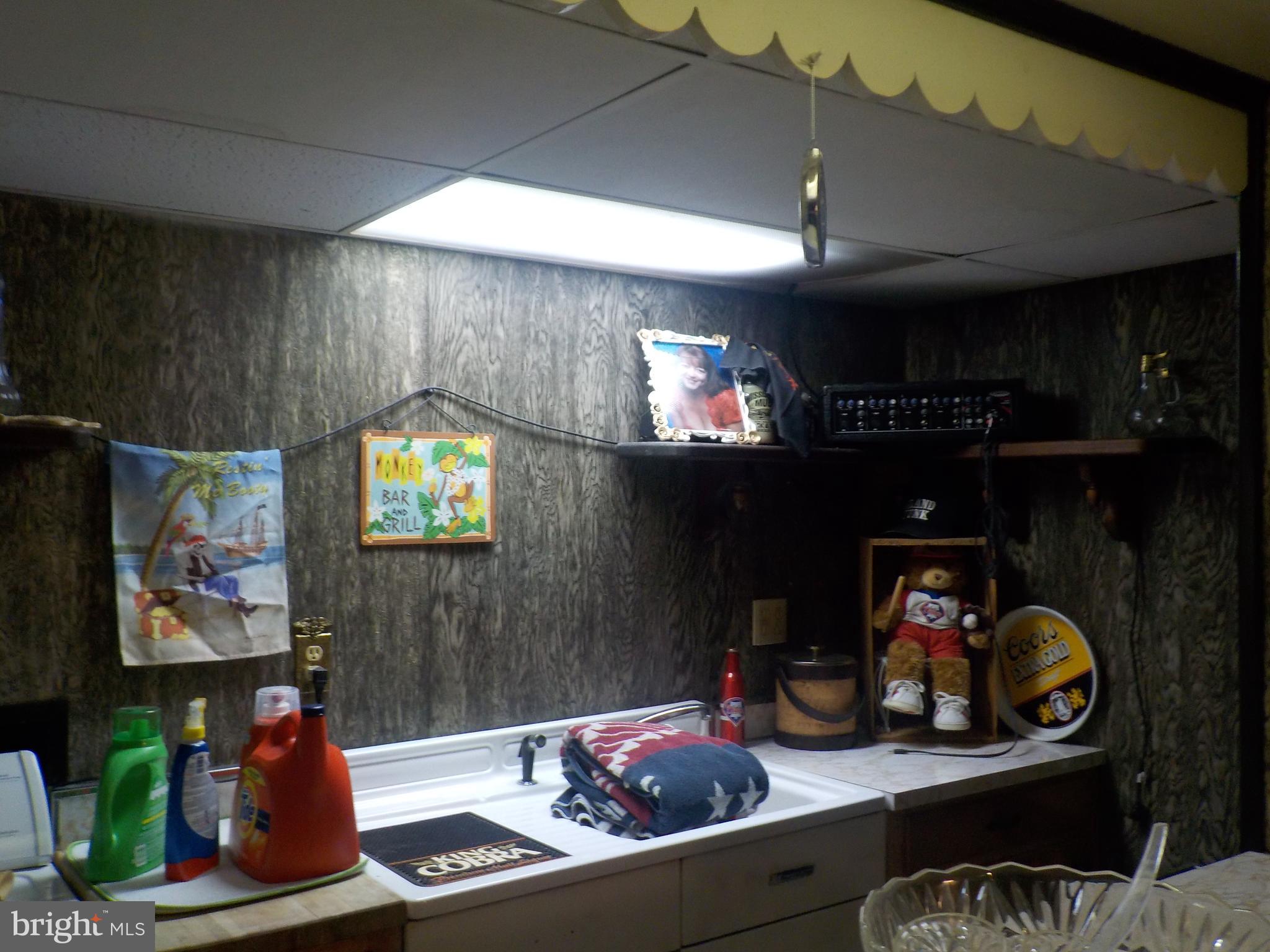 521 Rambler Road Manheim, PA 17545 - Photo 28 of 29 FR behind bar area