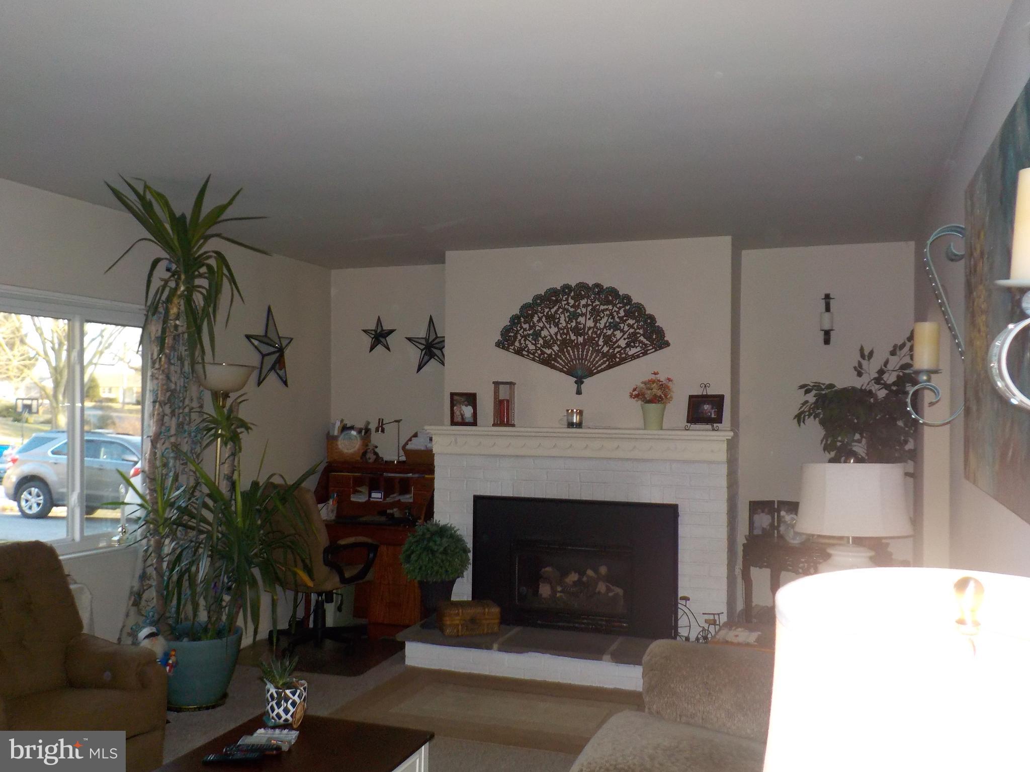 521 Rambler Road Manheim, PA 17545 - Photo 5 of 29 Large LR w/ propane FP