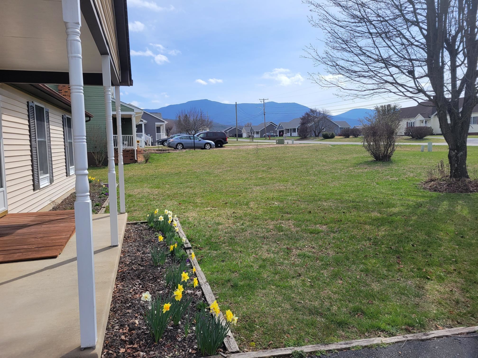 273 Fairview Road Luray, VA 22835 - Photo 3 of 49 Gallery Image 3