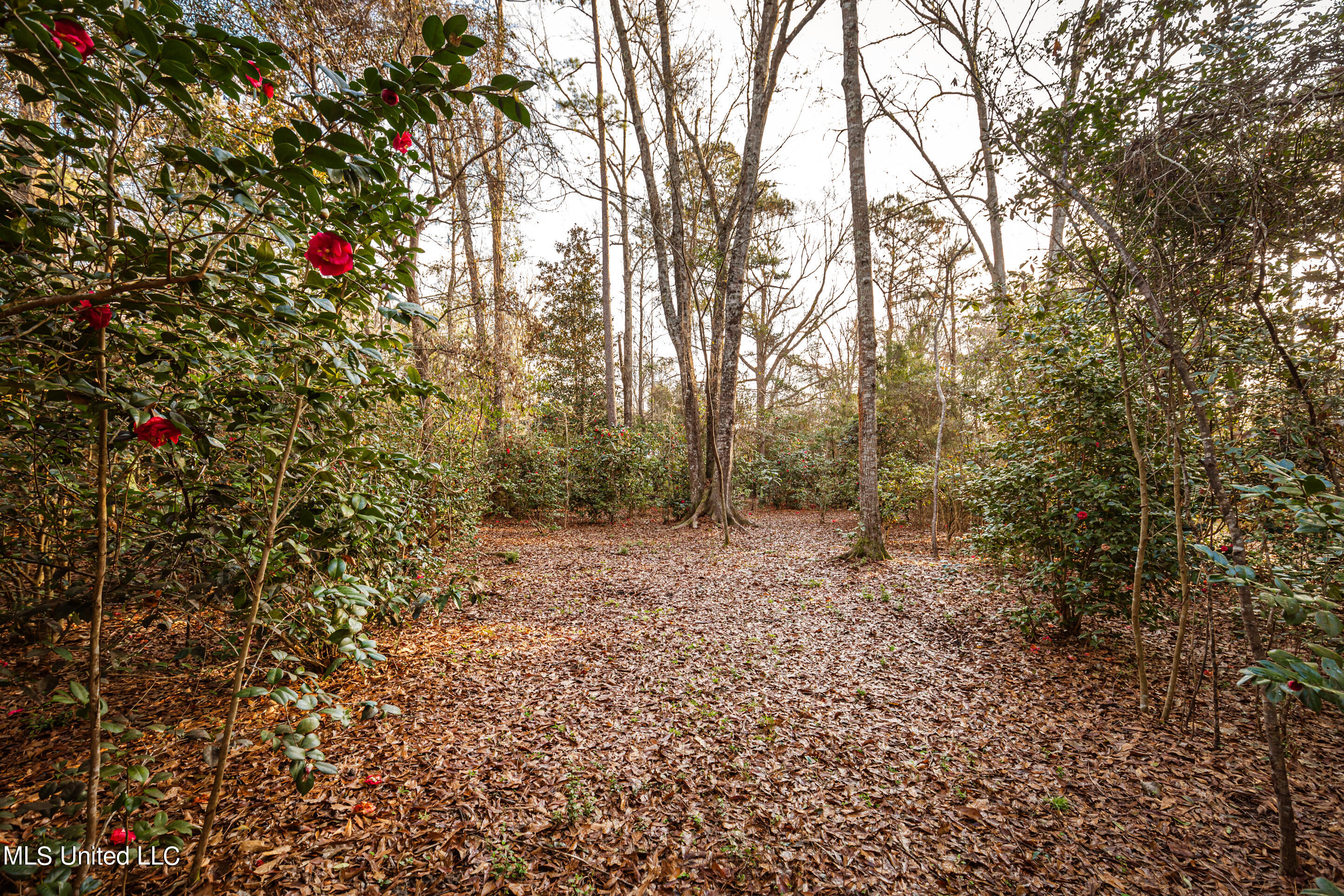 17336 Old River Road Vancleave, MS 39565 - Photo 60 of 71 IMG_1315