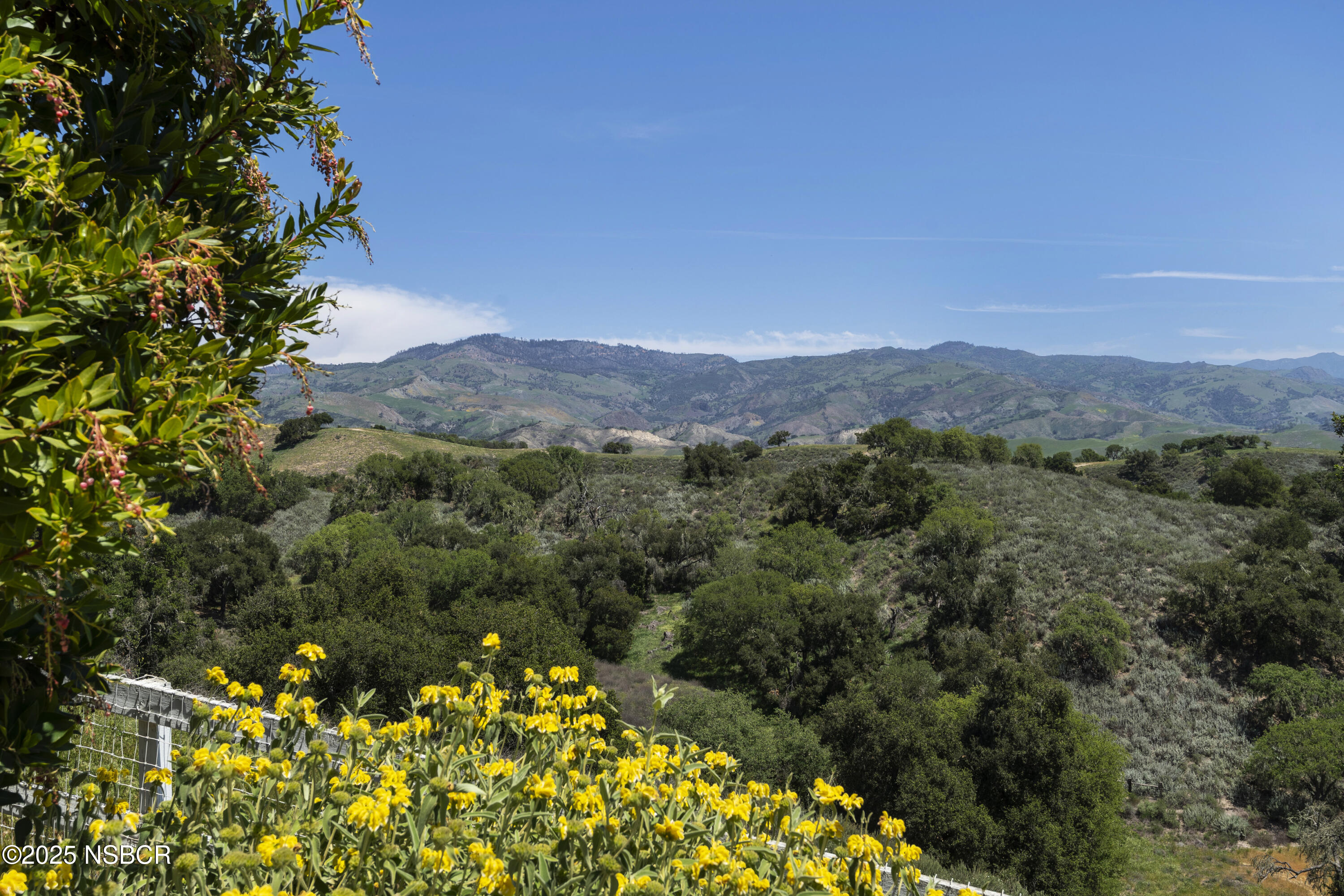 3776 Live Oak Road Santa Ynez, CA 93460 - Photo 24 of 46 a view of a mountain with a yard