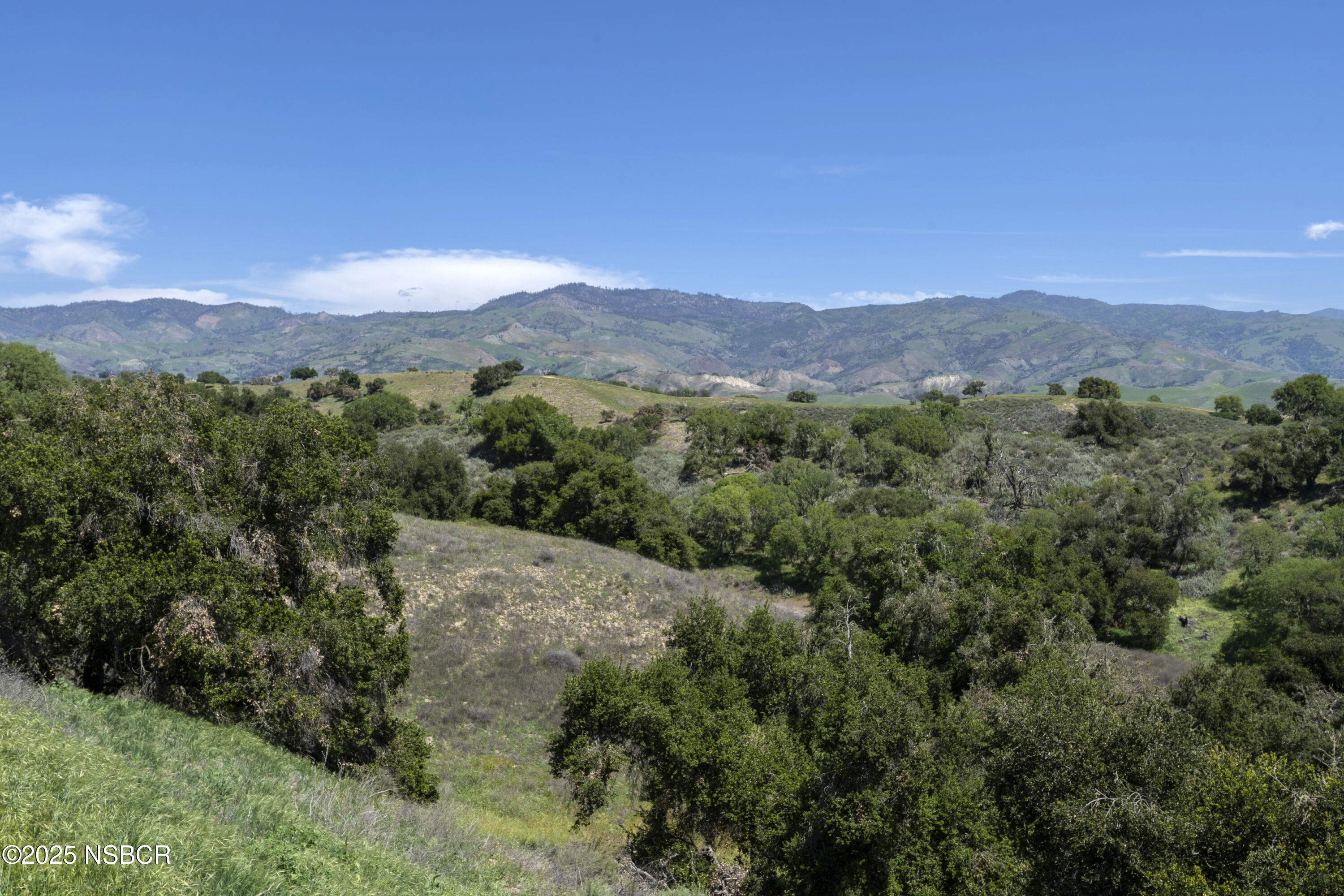 3776 Live Oak Road Santa Ynez, CA 93460 - Photo 35 of 46 a view of a mountain range with lush green forest